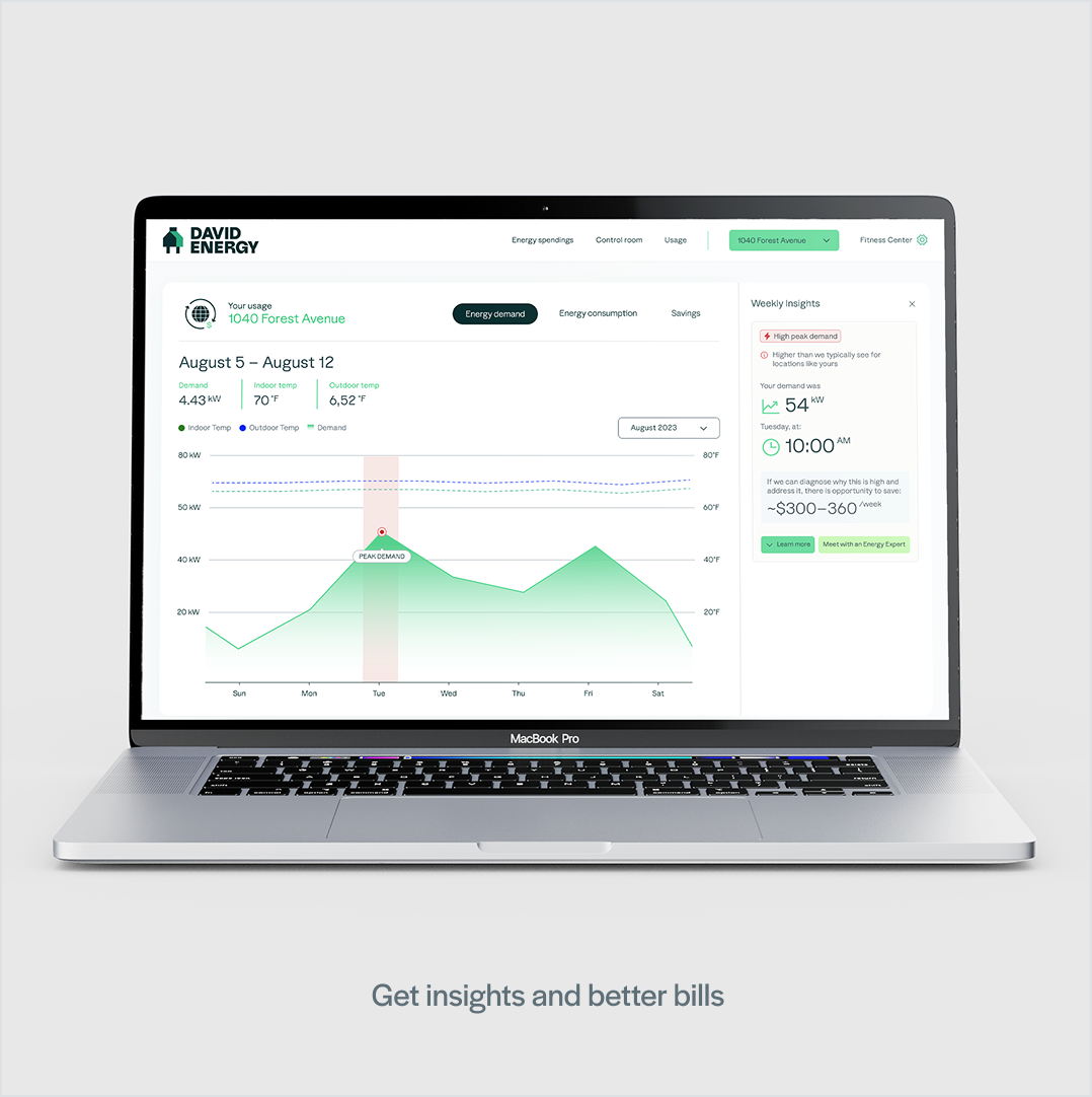 Energy insights — MacBook showing peak demand chart with weekly insights panel and cost-saving recommendations