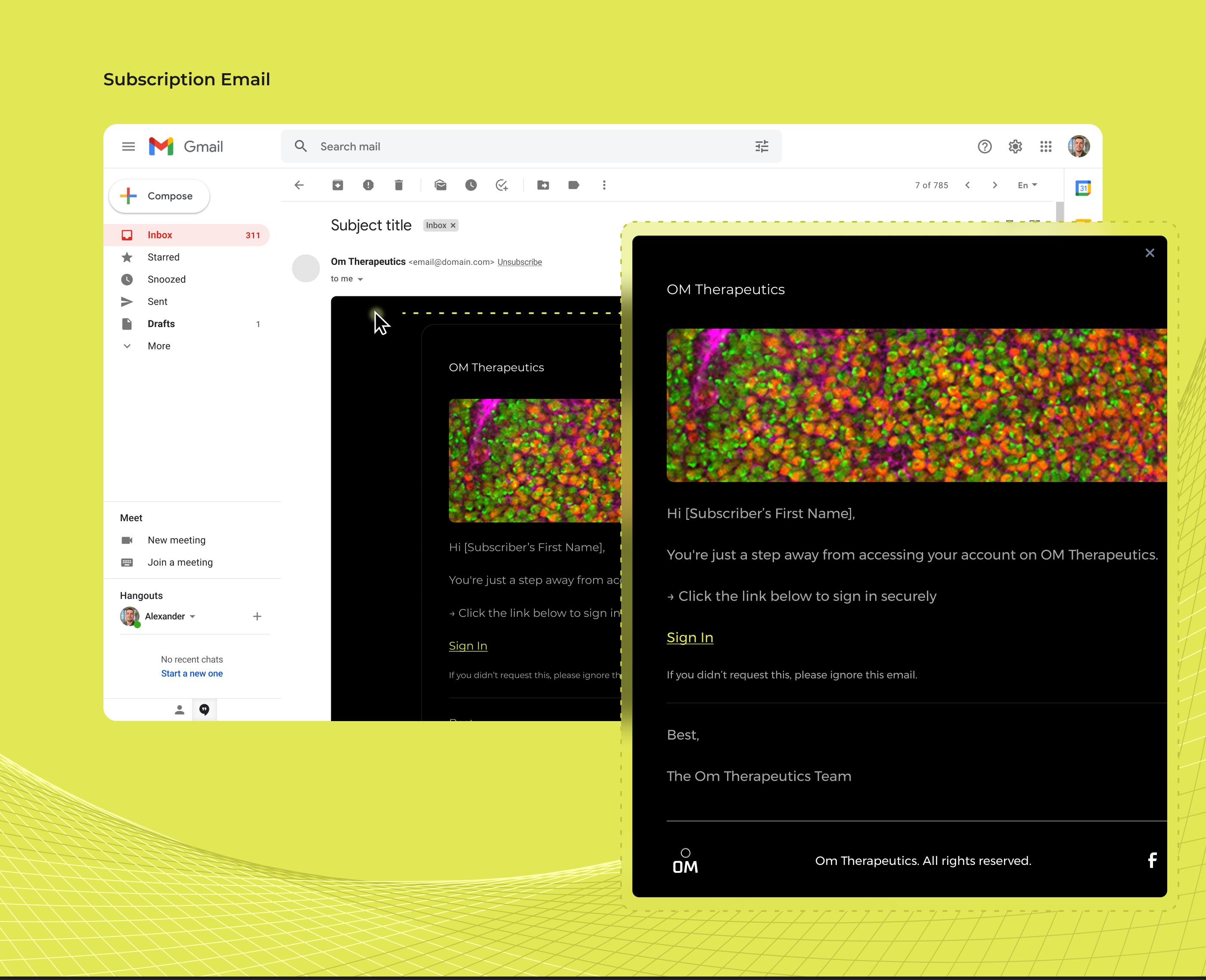 Om Therapeutics subscription email — branded transactional email template shown in Gmail on lime green background