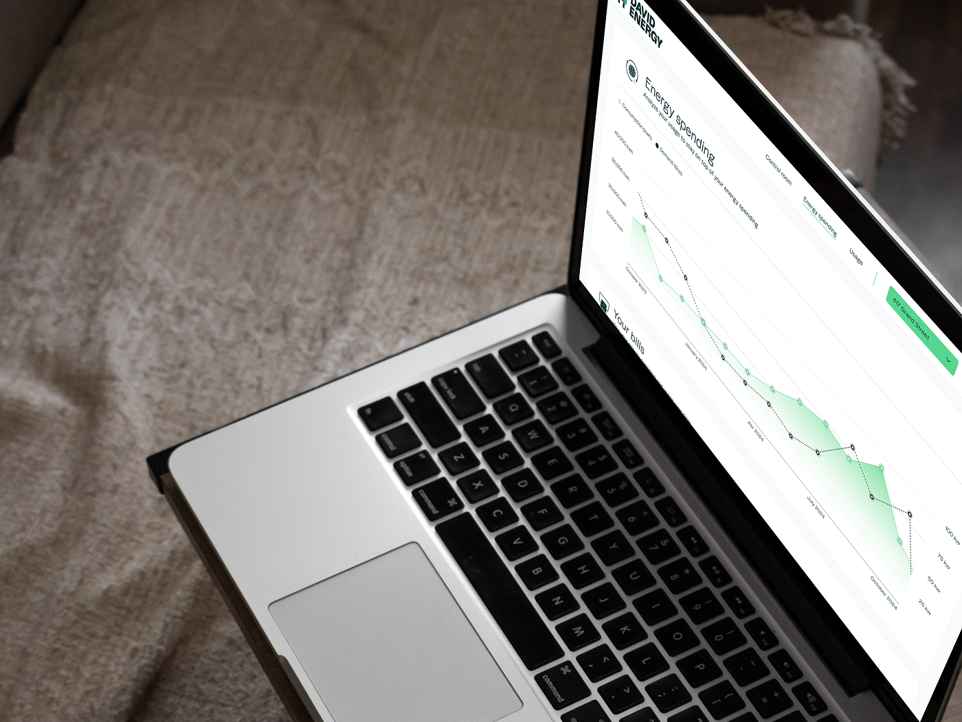 David Energy platform in production — MacBook showing Energy Spending dashboard with demand and consumption chart